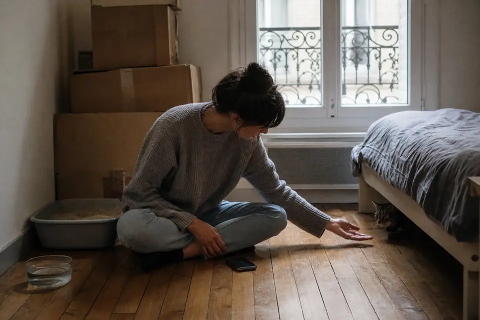 Une jeune femme assise par terre dans une chambre encore encombrée de cartons tend la main vers un chat tigré qui sort de sous le lit.