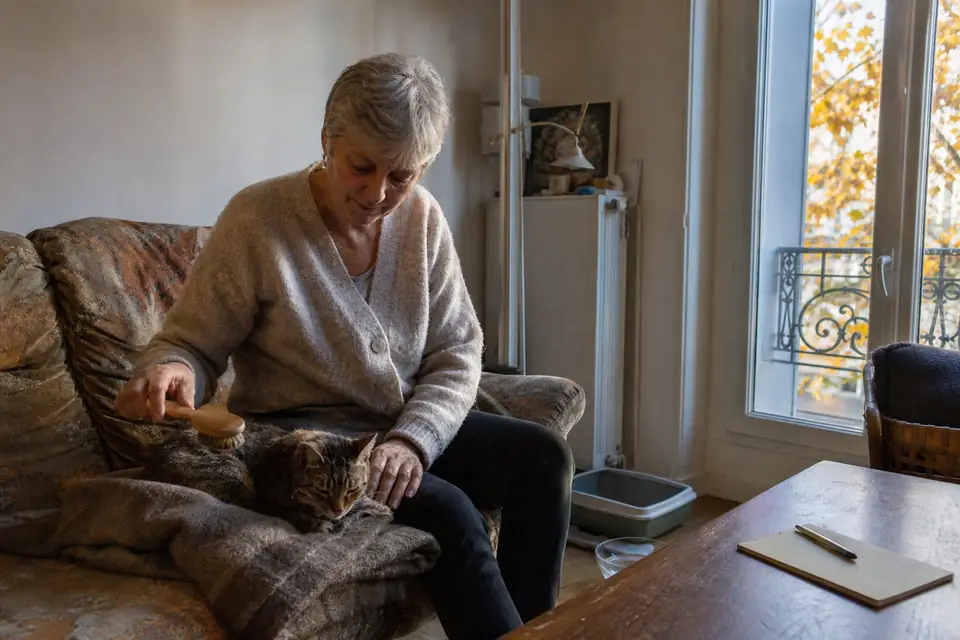 Une femme d’une soixantaine d’années brosse doucement un vieux chat tigré allongé sur une couverture pliée, sur le canapé d’un salon.